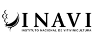 logo-inavi1.png